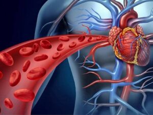 hipertensión, síntomas de presión alta, cómo cuidar la presión arterial, presión arterial y salud cardiovascular